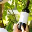Producteur de vin rouge Saint-Nicolas de Bourgueil