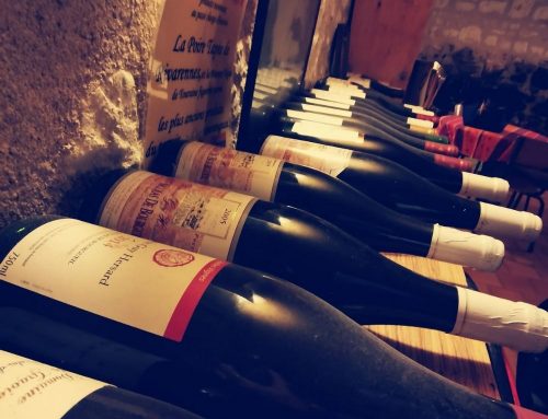 Cavistes : nos conseils de présentation du vin rouge Saint-Nicolas de Bourgueil